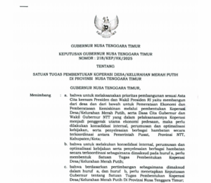 Keputusaan Gubernur Nusa Tenggara Timur No.218_KEP_HK_2025